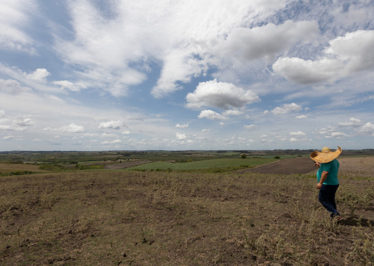 Seguro de Índices Climáticos é um produto customizado de acordo com a necessidade específica de cada cliente, considerando as oscilações dos parâmetros climáticos, como temperatura e precipitação