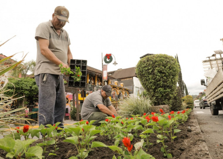 Em área total de 1.050m² de estufas, o Horto Municipal produz 1,2 milhões de plantas ao ano