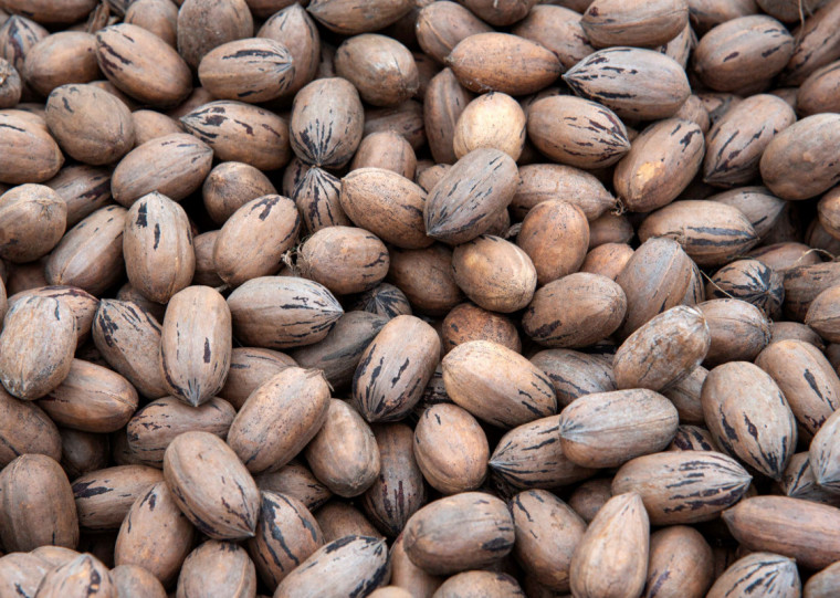 Evento reunirá produtores, pesquisadores, empresas e profissionais da área para debater ações e fortalecer a cadeia produtiva