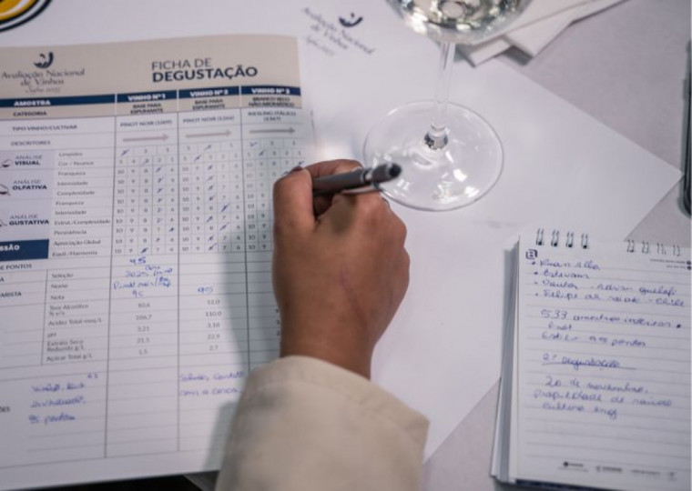 Participantes fizeram degustação simultânea e avaliaram vinhos de diferentes variedades | Jeferson Soldi/Divulgação/Cidades