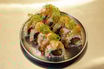 O Niko foi uma das novidades asi&aacute;ticas de 2025