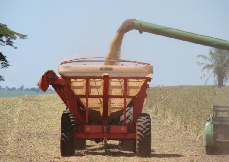 Oleaginosa representa cerca de 5% do PIB do Rio Grande do Sul
