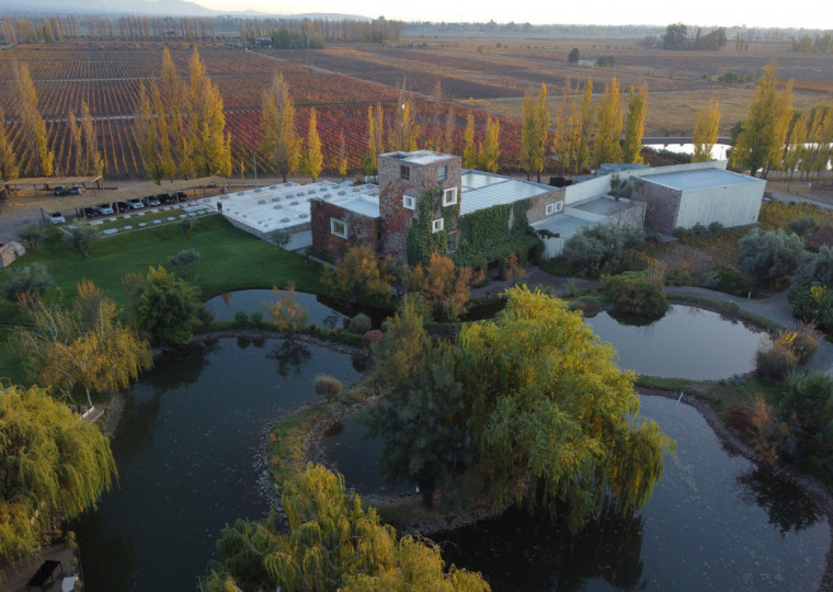 Mendoza é o quinto terroir explorado pela empresa de Bento Gonçalves