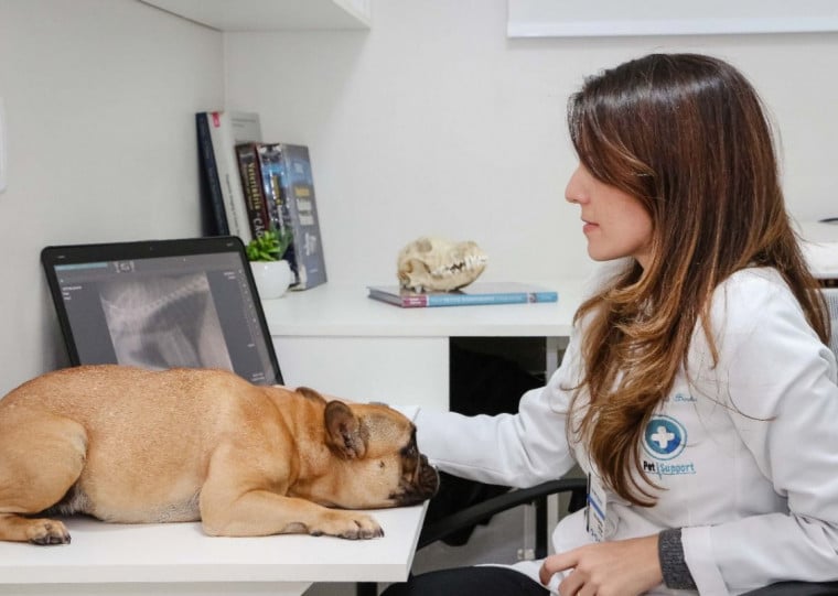 Avanço da tecnologia por imagem tornou equipamentos mais acessíveis e impulsionou crescimento da área