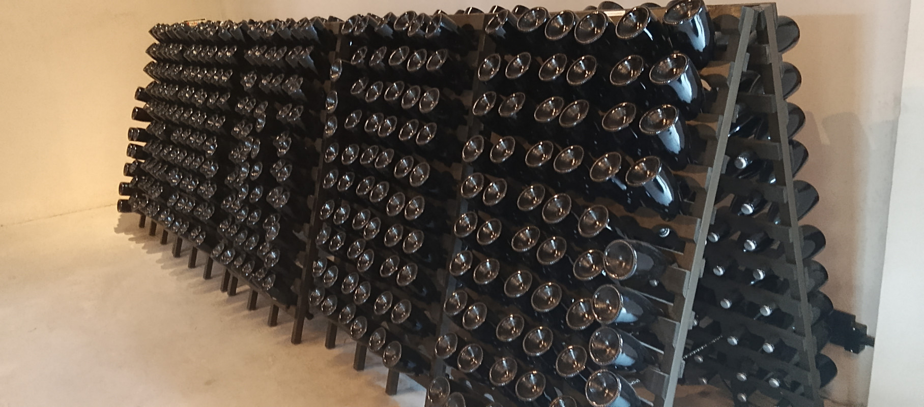 Vinícola Amitié - Vinhos e Espumantes Vinícola Amitié - Vinhos e Espumantes