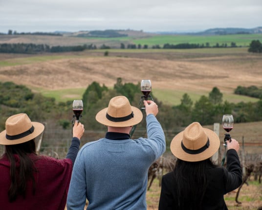 Enoturismo do Rio Grande do Sul cresce quase 60% em 2025