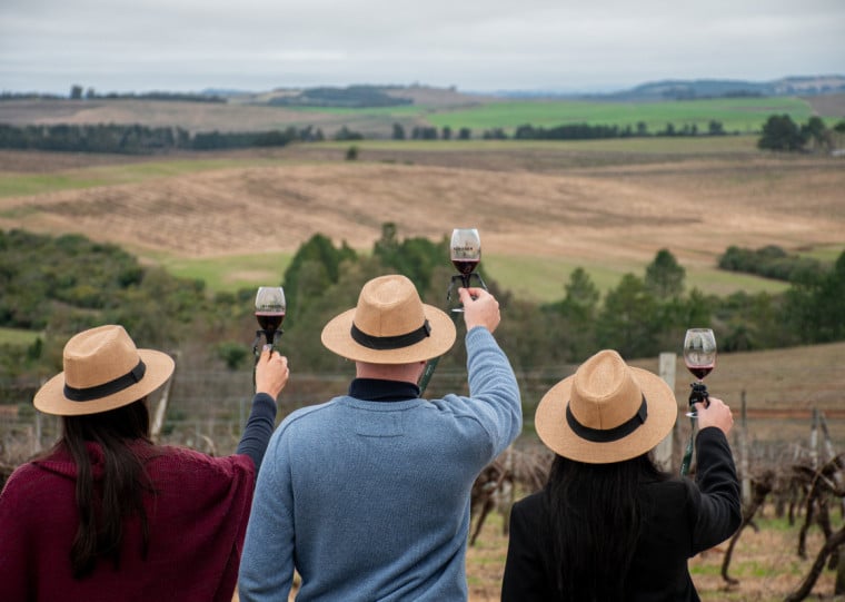 Vale dos Vinhedos recebe mais de 450 mil visitantes por ano