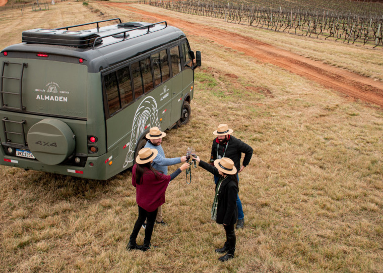 Vinícola Almadén conta com o vinhedo mais antigo da Campanha