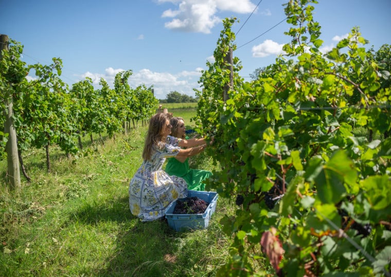 A Guatambu Estância do Vinho, um dos principais polos enoturísticos da região