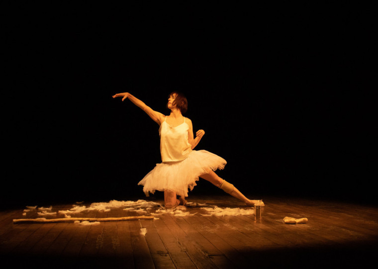 Silvia Wolff transforma vivência pós-AVC em solo que propõe novas percepções sobre corpo, beleza e movimento