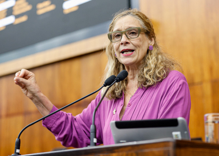 A criação de 20% de cotas para mulheres em empresas de segurança foi proposta originalmente por Sofia Cavedon em julho