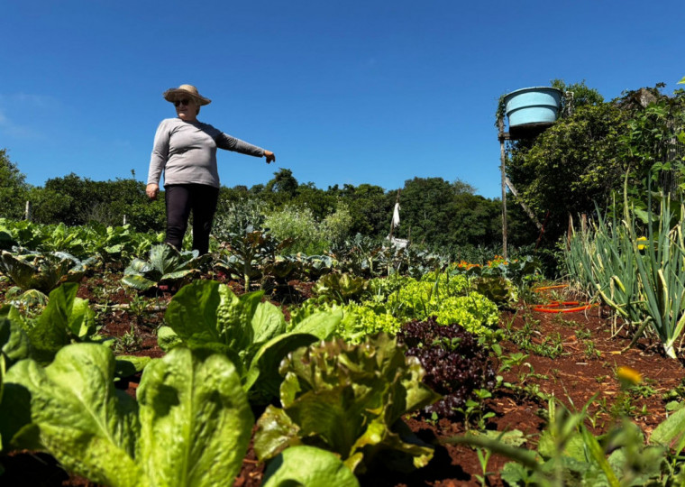 São 23 hortas que ajudam na colheita que beneficia famílias carentes do município