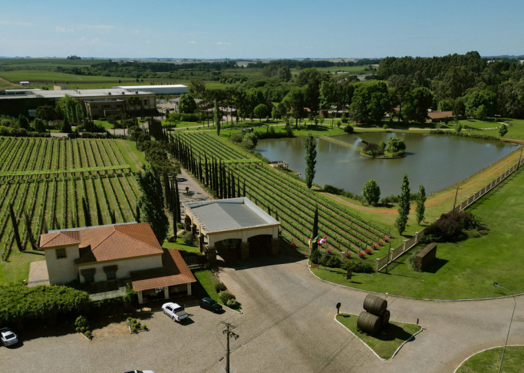 Todos os dias, a Vinícola Campestre oferece uma experiência completa de enoturismo