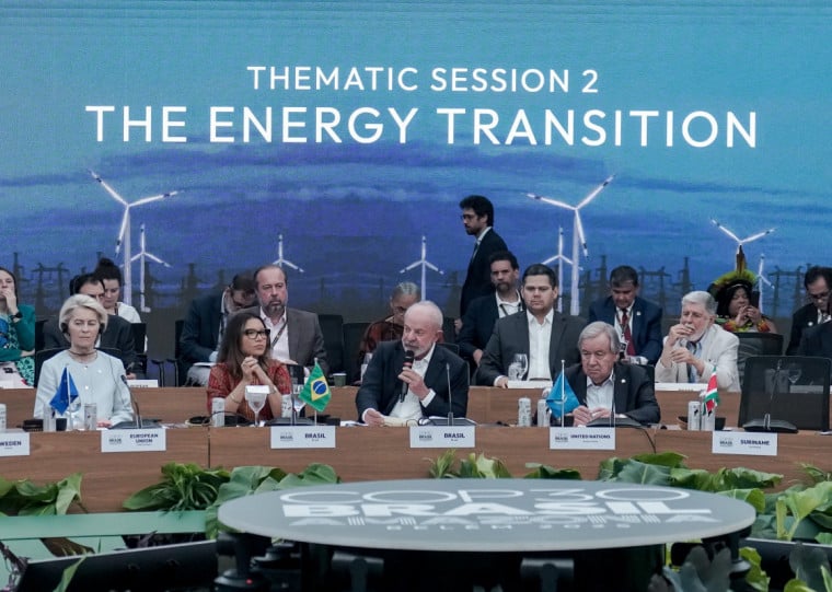 O mercado global de carbono busca integrar os mercados já existentes para homogeneizar os preços cobrados sobre as emissões de gases de efeito estufa.