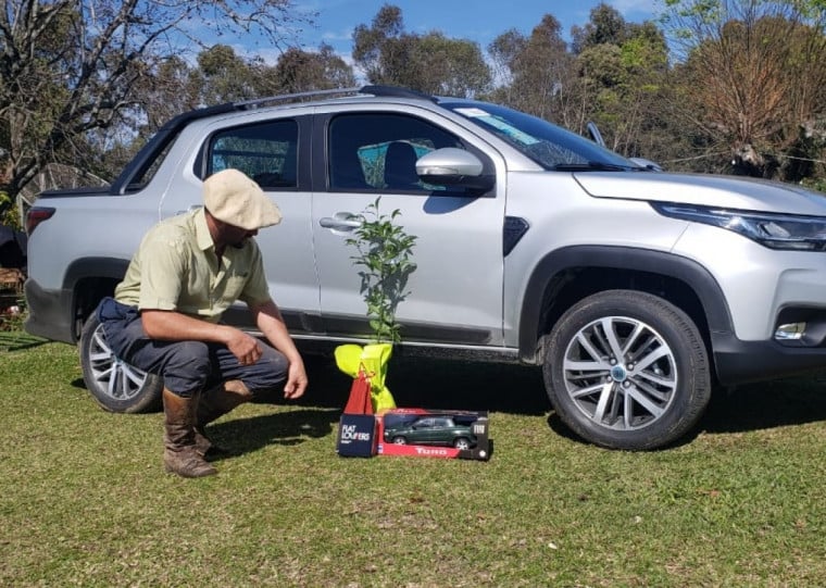 Mudas de árvores são repassadas a clientes que compram modelos novos e seminovos