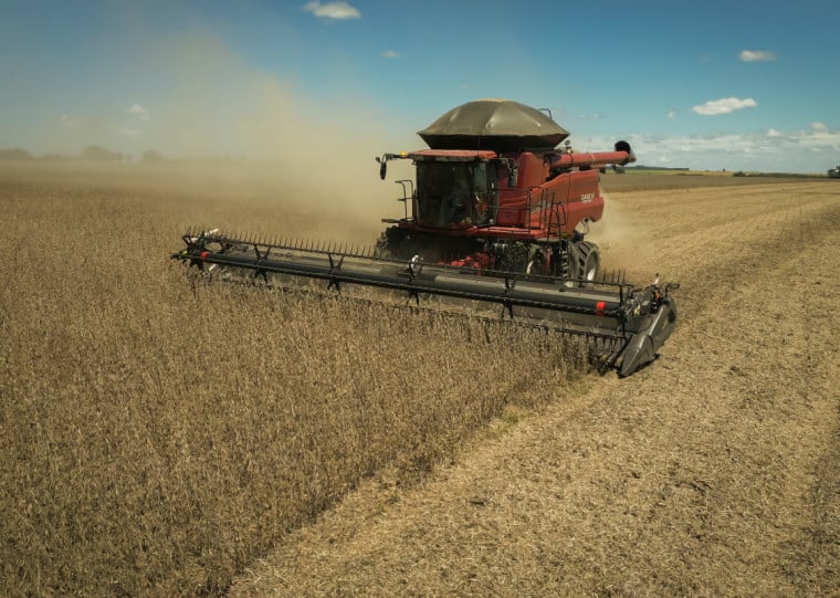 Área de soja deve alcançar 6,7 milhões de toneladas e resultar na colheita de 21,4 milhões de toneladas, alta de 57,1%, conforme a Emater/RS