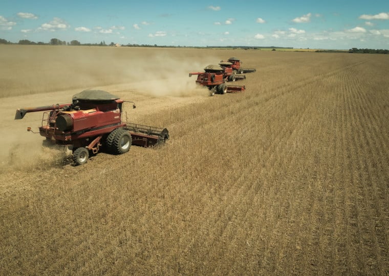 Produção de soja atinge novo recorde, com crescimento esperado de 4,6%