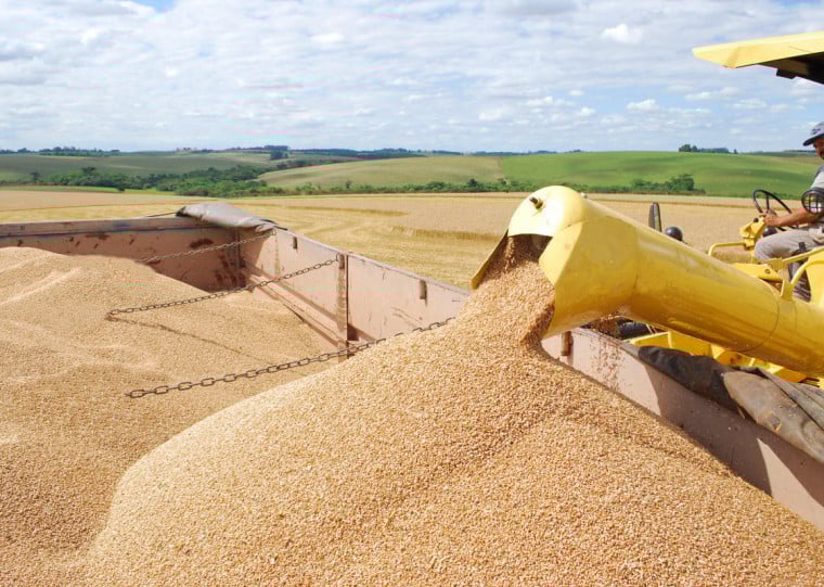 Avanço nacional é liderado por culturas como soja, milho e sorgo