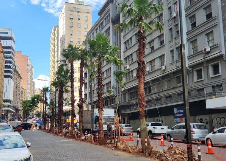 pg3 Plantio de palmeiras na Borges de Medeiros