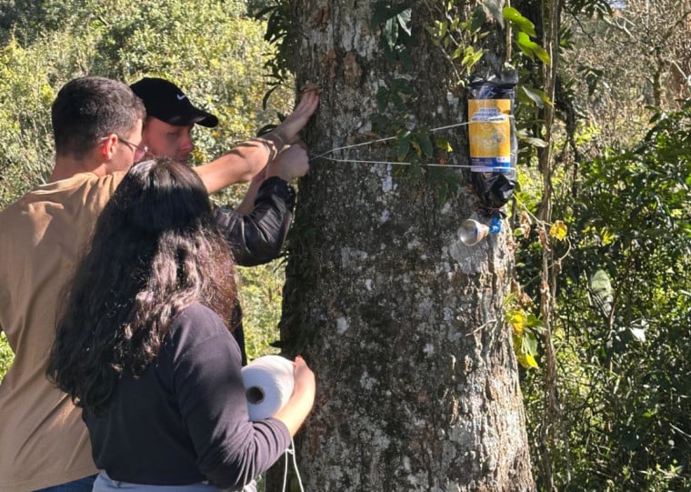 Estudantes criaram iscas para a captura de enxames para, posteriormente, serem utilizadas em atividades pedagógicas 