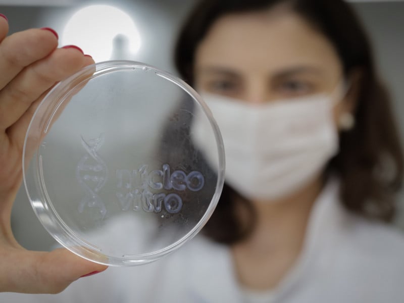 Em reconhecimento a primeira coloca&ccedil;&atilde;o, a N&uacute;cleo Vitro recebeu um aporte de R$ 48 mil<br />Foto: N&Uacute;CLEO VITRO/DIVULGA&Ccedil;&Atilde;O/JC