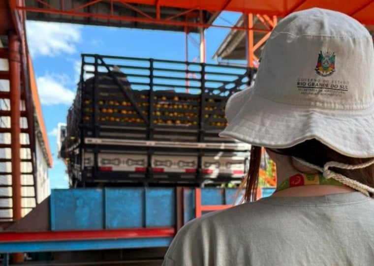 A fiscalização sanitária ocorreu em cargas e ambientes de trânsito dos vegetais