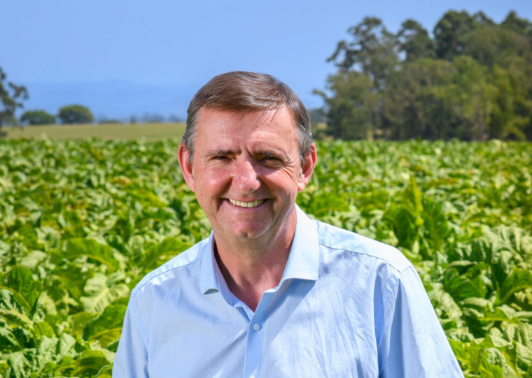 Valmor Thesing, presidente do Sindicato Interestadual da Indústria do Tabaco (SindiTabaco)