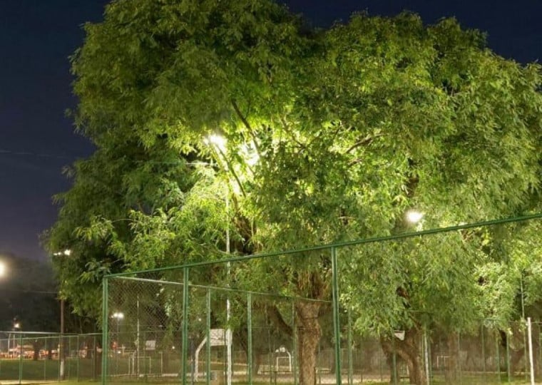 De acordo com a secretaria Municipal de Serviços Urbanos, o serviço foi concluido na última quinta-feira