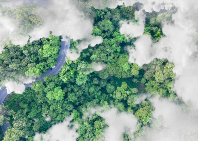 Eventos climáticos e desastres ambientais são desafios-chave para líderes