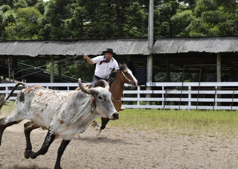 Cancha de laço do parque vai receber disputas em, pelo menos, cinco modalidades
