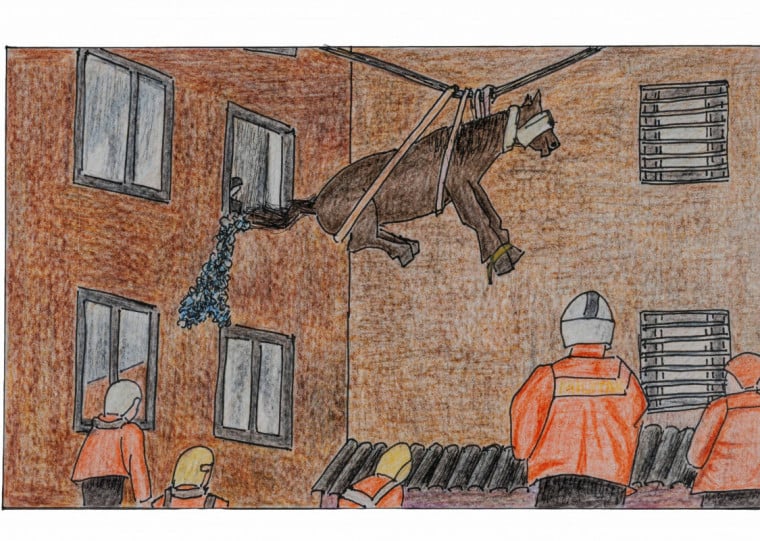 O projeto inclui exposição das crônicas de Nora Prado ilustradas por Zoravia Bettiol e o videoarte criado pela Oito e Meio Filmes
