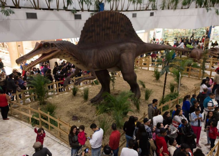 Ao todo, 13 réplicas de dinossauros em tamanho real estarão espalhadas pelo shopping para visitação gratuita
