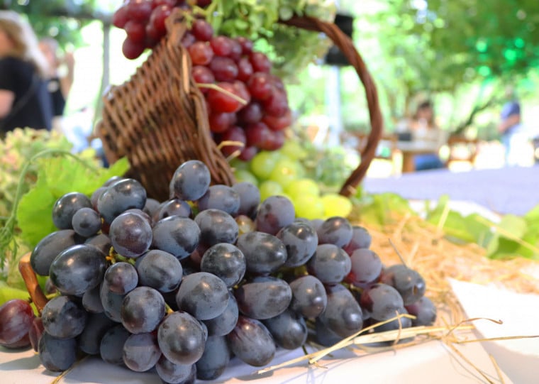 O evento celebra a colheita da uva com diferentes atividades culturais
