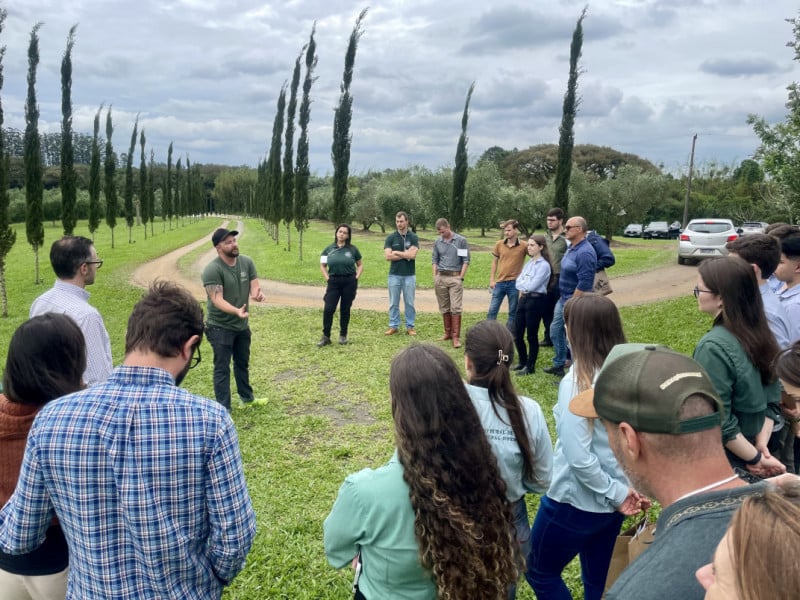 Est&acirc;ncia das Oliveiras<br />Foto: Est&acirc;ncia das Oliveiras/Divulga&ccedil;&atilde;o/JC