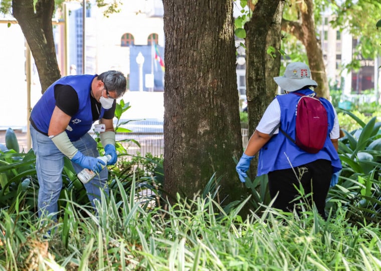 Agentes municipais realizaram a aplicação de raticida no local