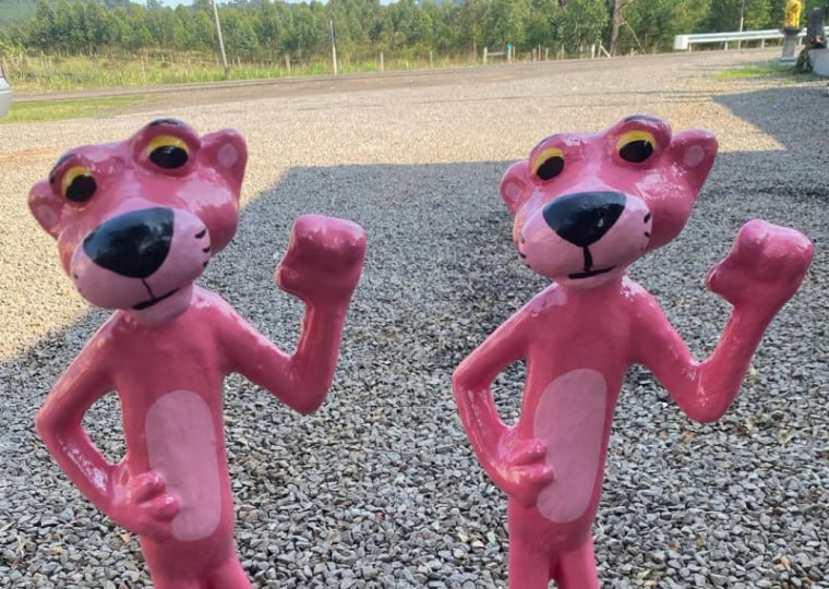 As "Panterinhas" est&atilde;o fazendo sucesso nas margens da RS-287 | VEDOVATTO ARTEFATOS/Divulga&ccedil;&atilde;o/JC