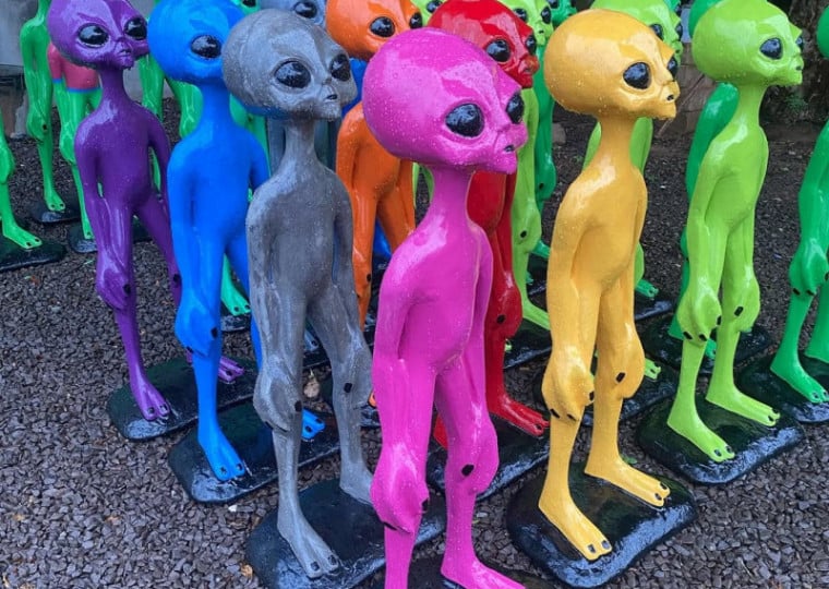 Os alien&iacute;genas est&atilde;o dispon&iacute;veis em diferentes cores e tamanhos | VEDOVATTO ARTEFATOS/Divulga&ccedil;&atilde;o/JC