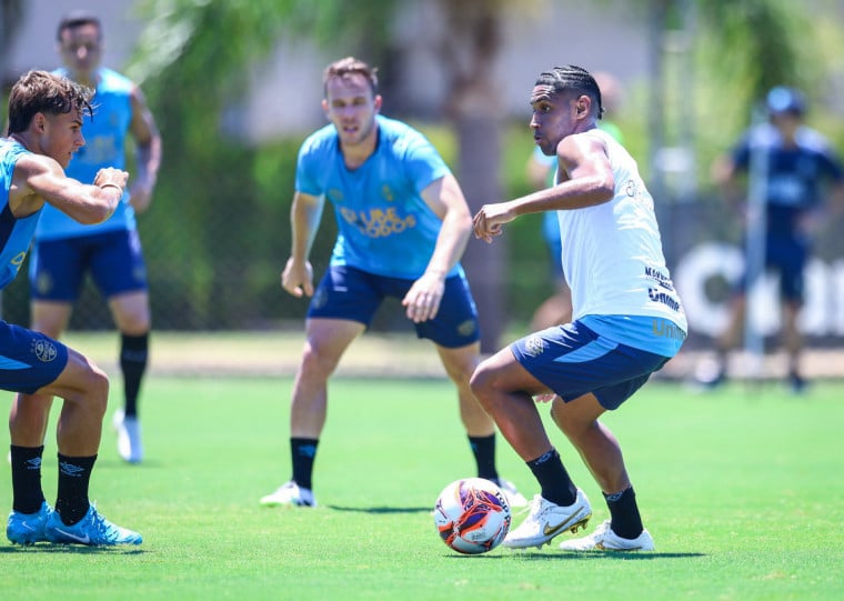 Caso tenha situação regularizada no BID, Tetê pode estrear neste sábado