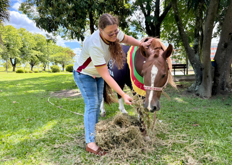 O Cavalo Caramelo ganhou notoriedade nacional durante as enchentes de 2024, quando ficou ilhado sobre um pequeno espaço de telhado