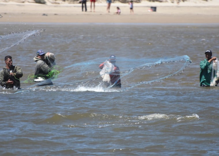 Atividade é considerada uma das principais do setor durante a temporada de verão