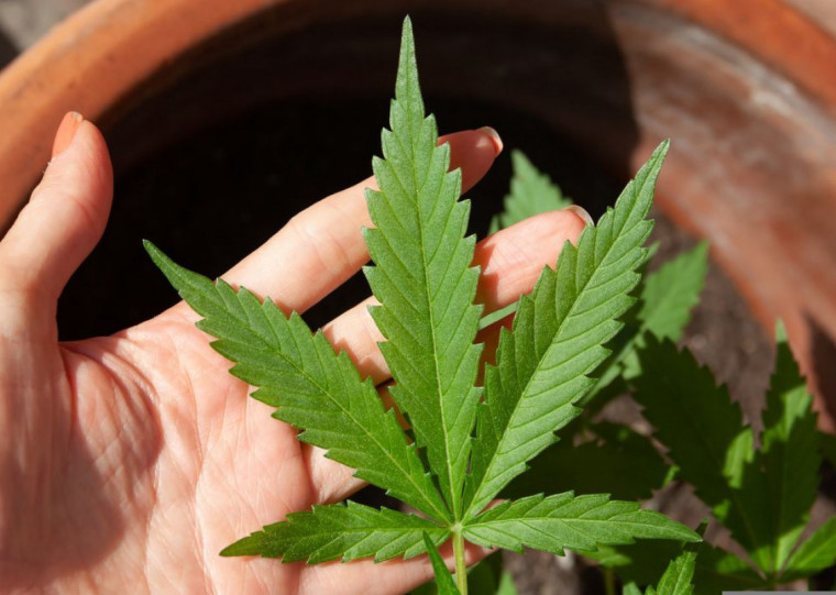  Se aprovadas, as resoluções entram em vigor na data da publicação e terão validade inicial de seis meses