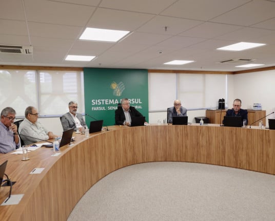 Arrozeiros projetam redução de área e alertam para pressão de preços em 2026