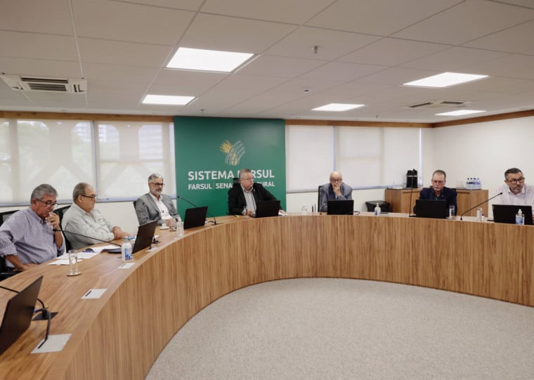 Irga deve confirmar na próxima semana redução de 9% na área plantada e queda de produtividade nas lavouras