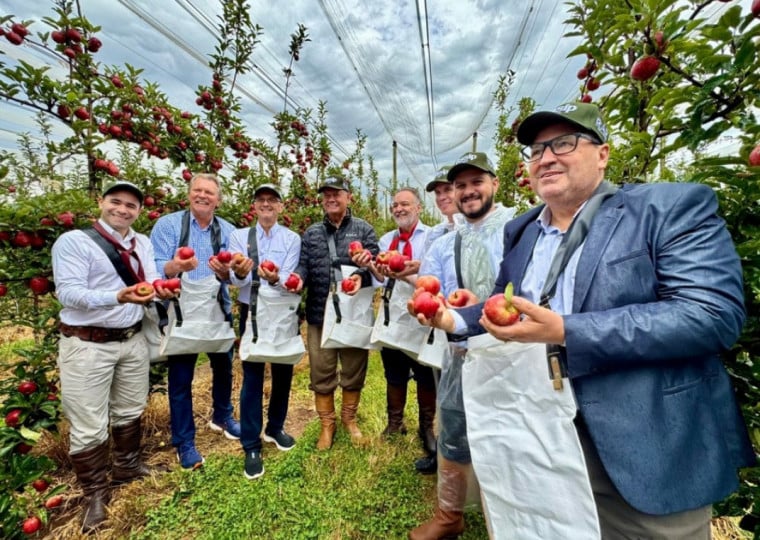 Rio Grande do Sul é um dos maiores produtores e exportadores de maça do Brasil
