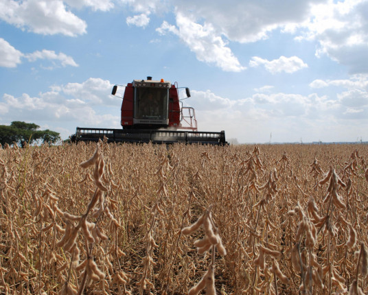 Safra de grãos no RS é estimada em 38,9 milhões de toneladas