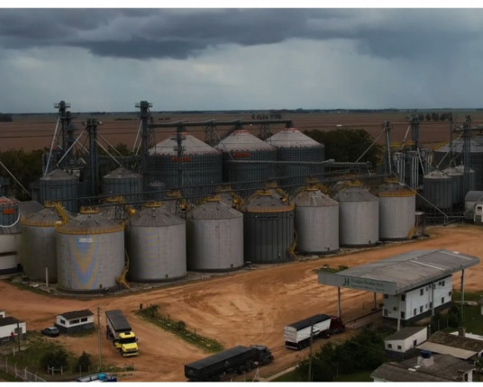 Automação orientada por dados eleva produtividade e eficiência da Granjas 4 Irmãos