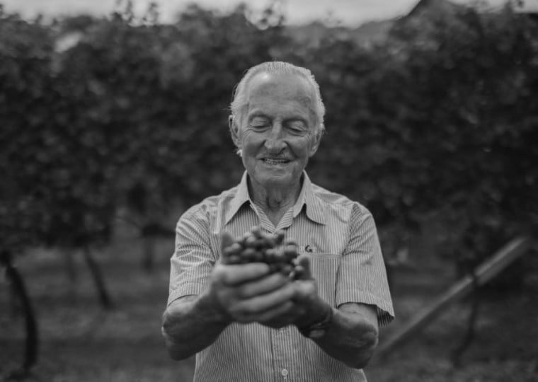 Cilo Larentis foi uma das figuras que ajudaram a construir a história da vitivinicultura no Vale dos Vinhedos
