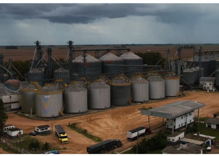 Granjas 4 Irmãos investe em tecnologia e inovação para melhorar os processos