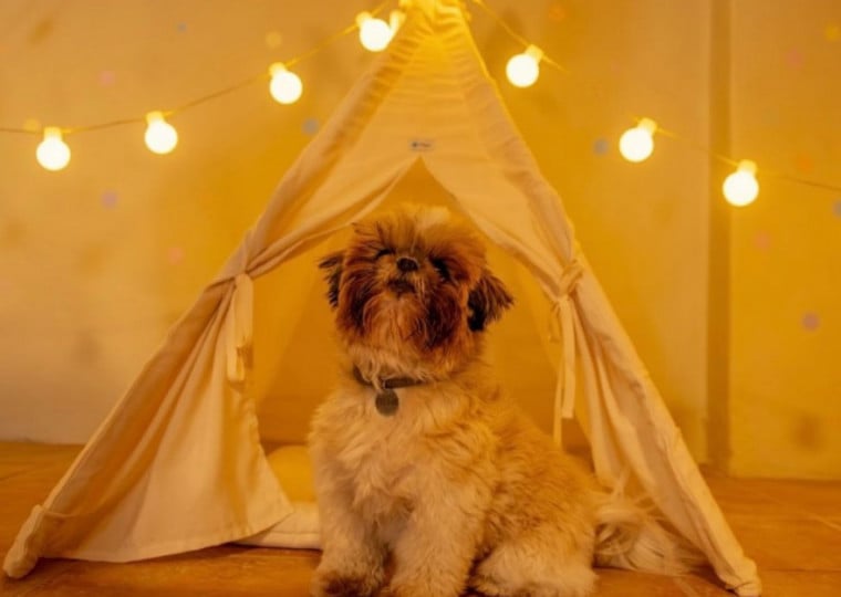 Espaços climatizados e atividades adaptadas ao verão são diferenciais nessa época do ano