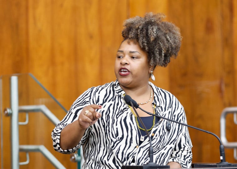 Procuradora especial da Mulher, deputada Bruna Rodrigues (PCdoB) listou as propostas relacionadas à proteção das mulheres